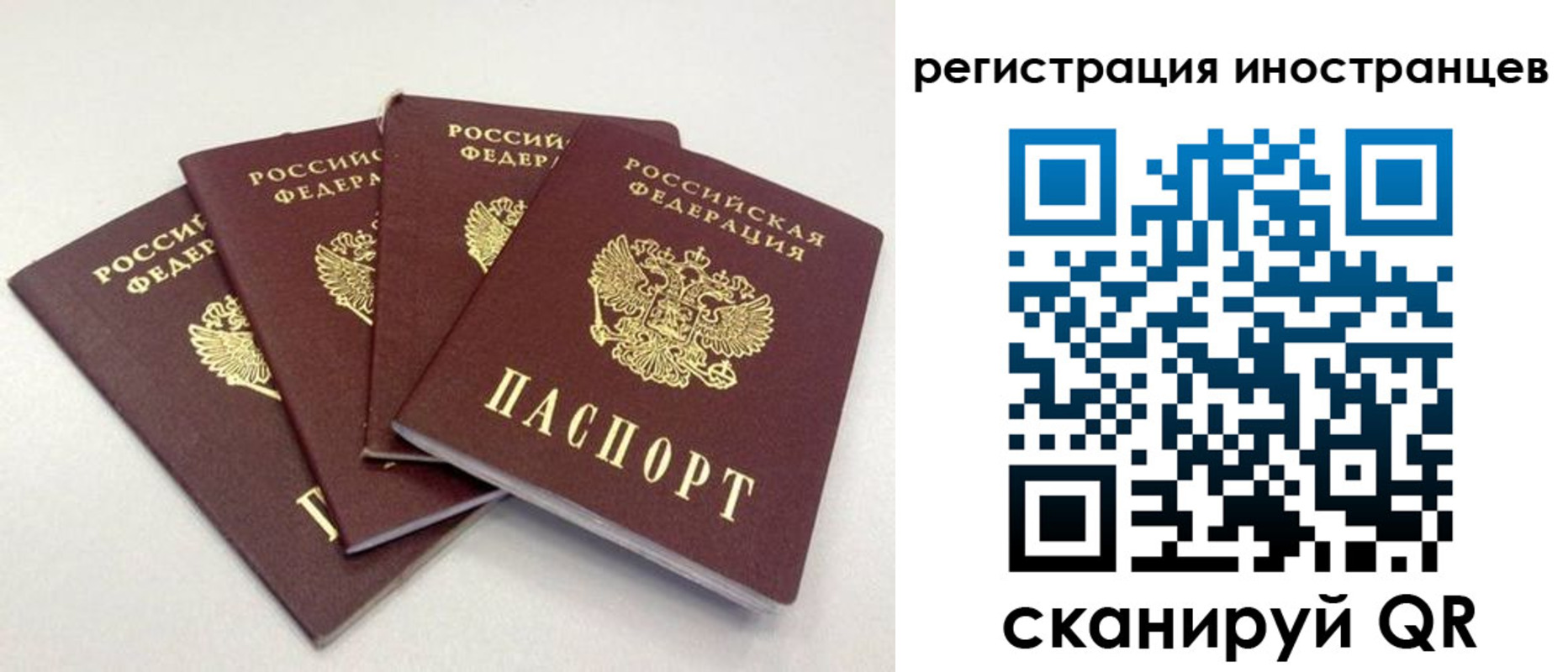 временная регистрация для школы в Ногинске